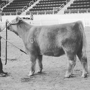 Meet your Posher, Sara